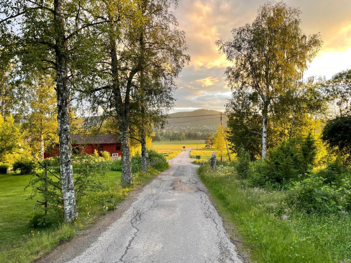 Helsingegarden Hostel Järvsö Екстериор снимка