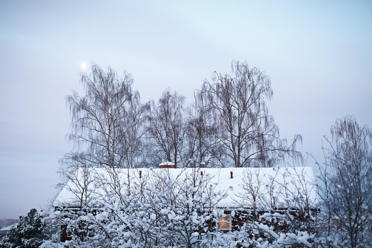 Helsingegarden Hostel Järvsö Екстериор снимка