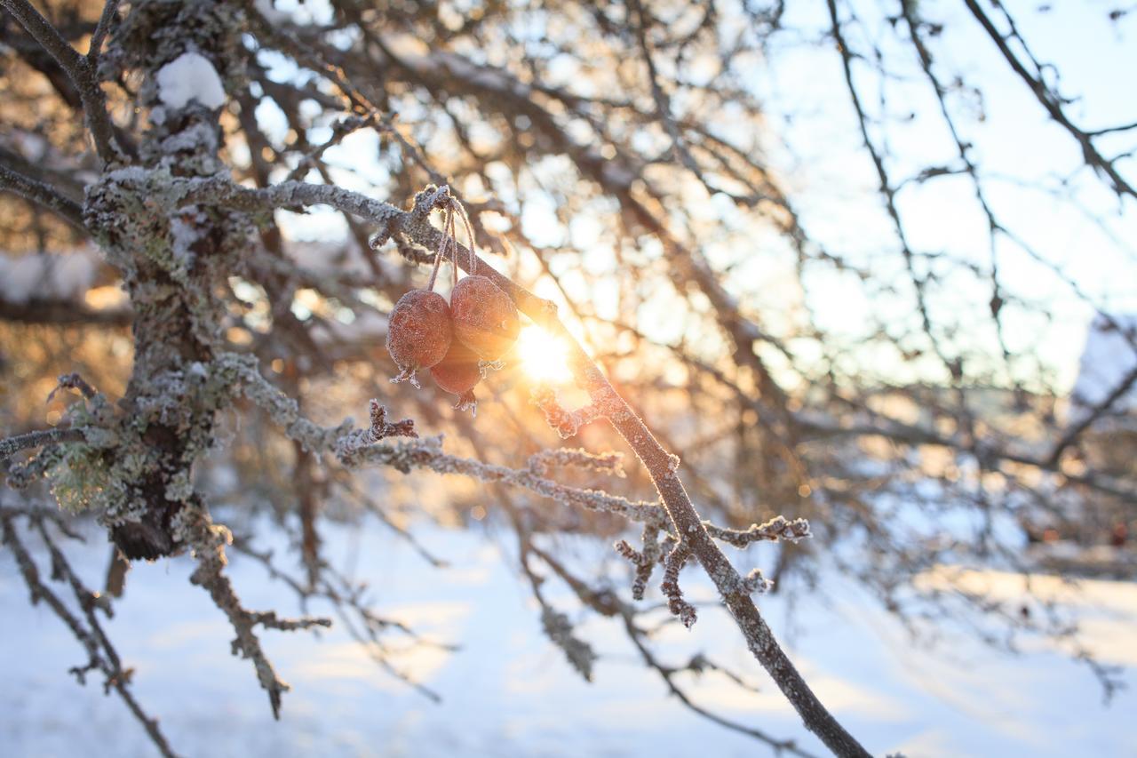 Helsingegarden Hostel Järvsö Екстериор снимка