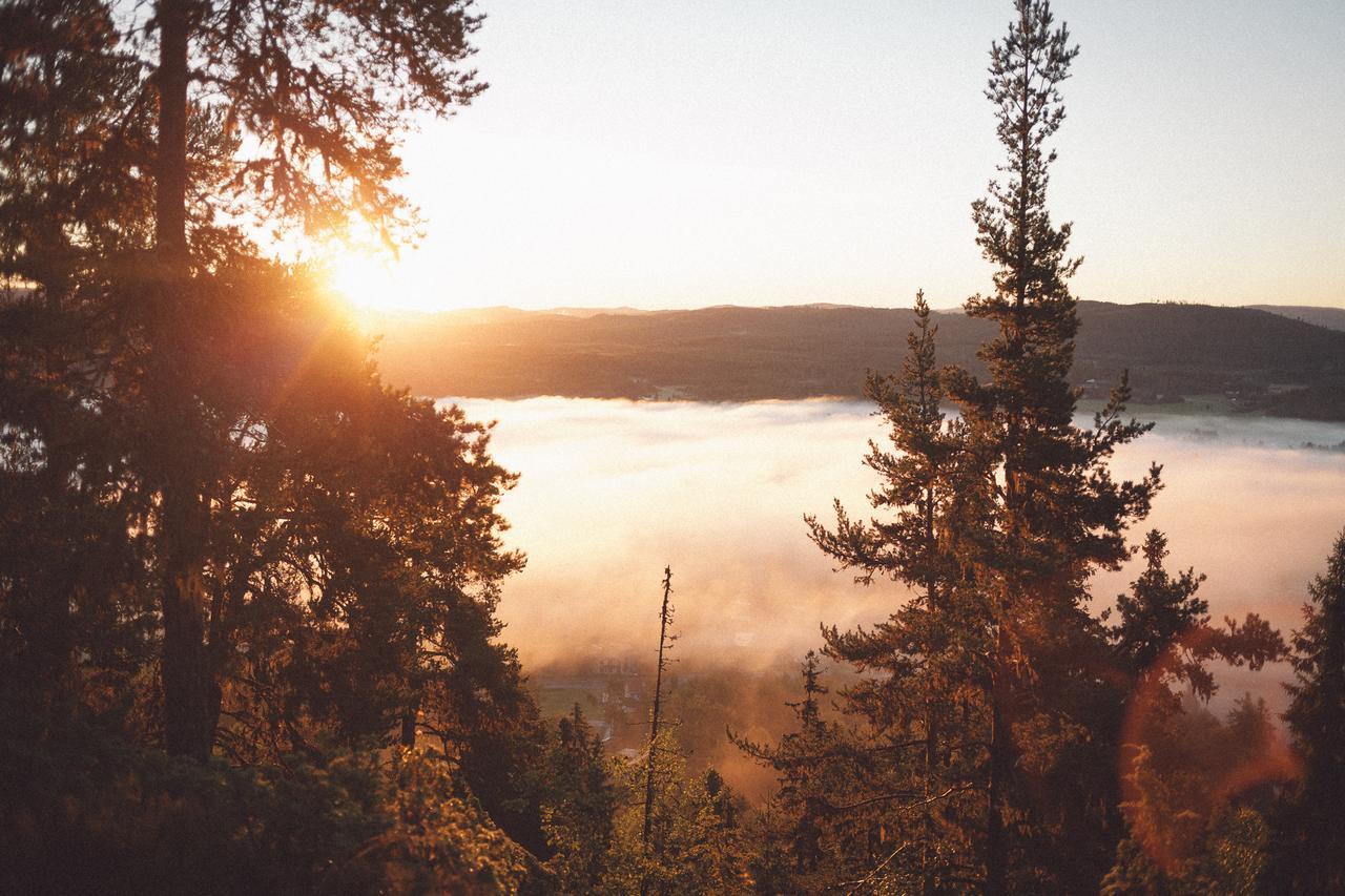 Helsingegarden Hostel Järvsö Екстериор снимка