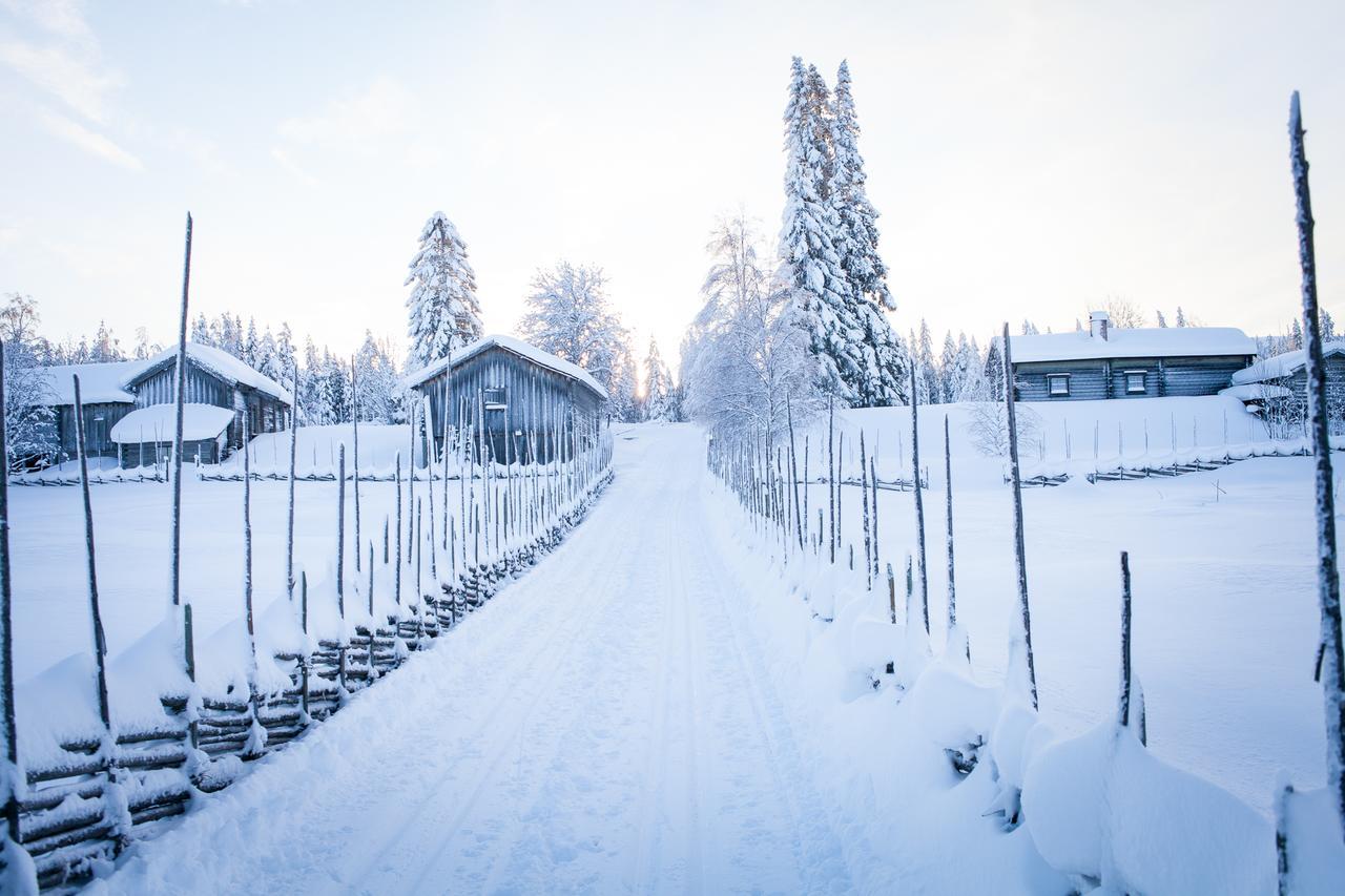 Helsingegarden Hostel Järvsö Екстериор снимка