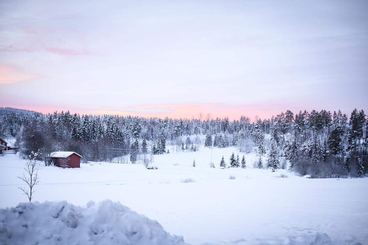 Helsingegarden Hostel Järvsö Екстериор снимка