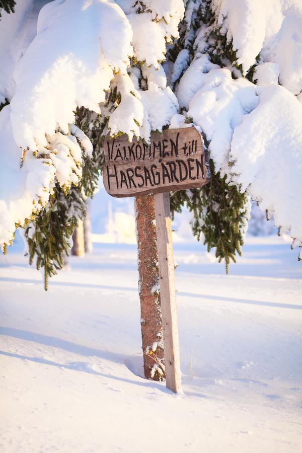 Helsingegarden Hostel Järvsö Екстериор снимка